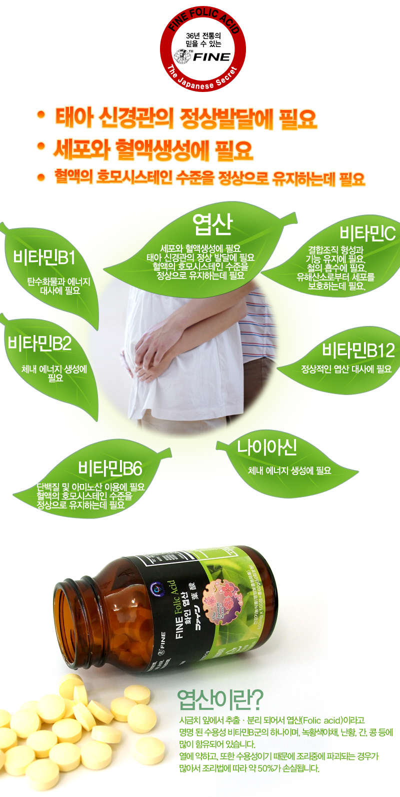 임산부 엽산제 종합영양제